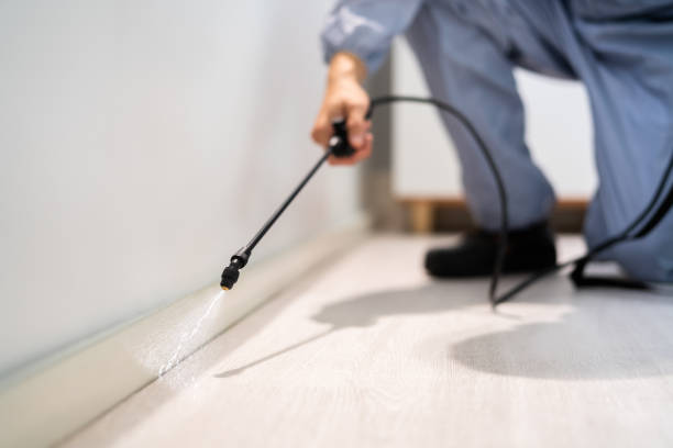 Certified termite inspector examining foundation in Pinckney