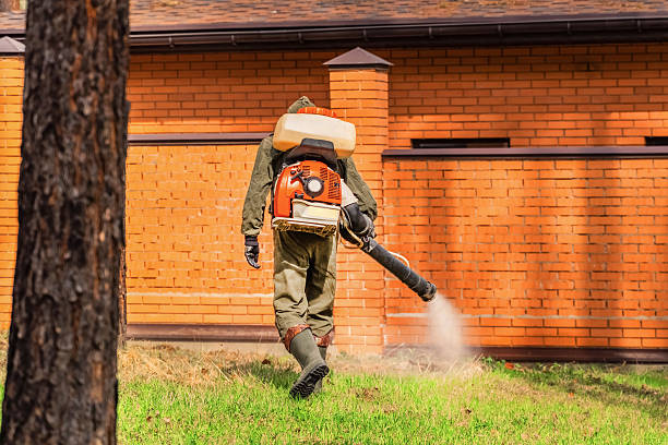 Top rated local Ant Control specialists in Pinckney, MI